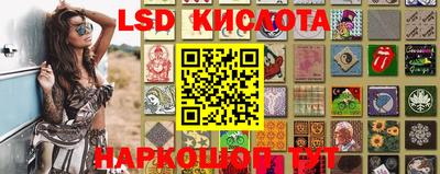крисы Кулебаки