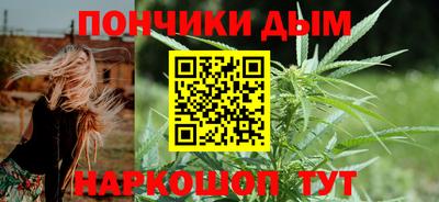 крисы Кулебаки