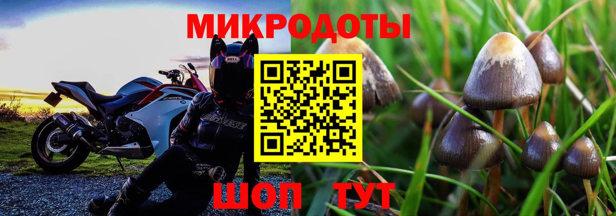 Псилоцибиновые грибы мухоморы Алапаевск