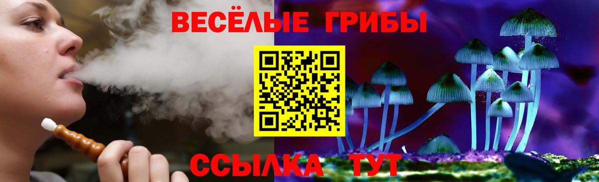 Псилоцибиновые грибы мицелий  Вход с VPN  Алапаевск  Галлюциногенные грибы Psilocybine cubensis 